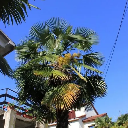 With A Parking Space Opric, Opatija - 7828 شقة
