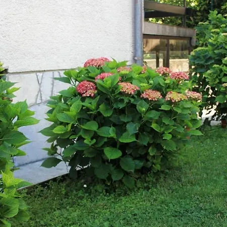 דירה With A Parking Space Opric, Opatija - 7828 לובראן